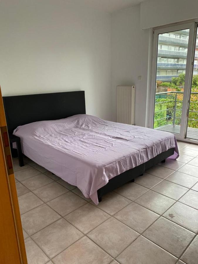 Superbe Appartement Lumineux Et Spacieux Αμβέρσα Εξωτερικό φωτογραφία